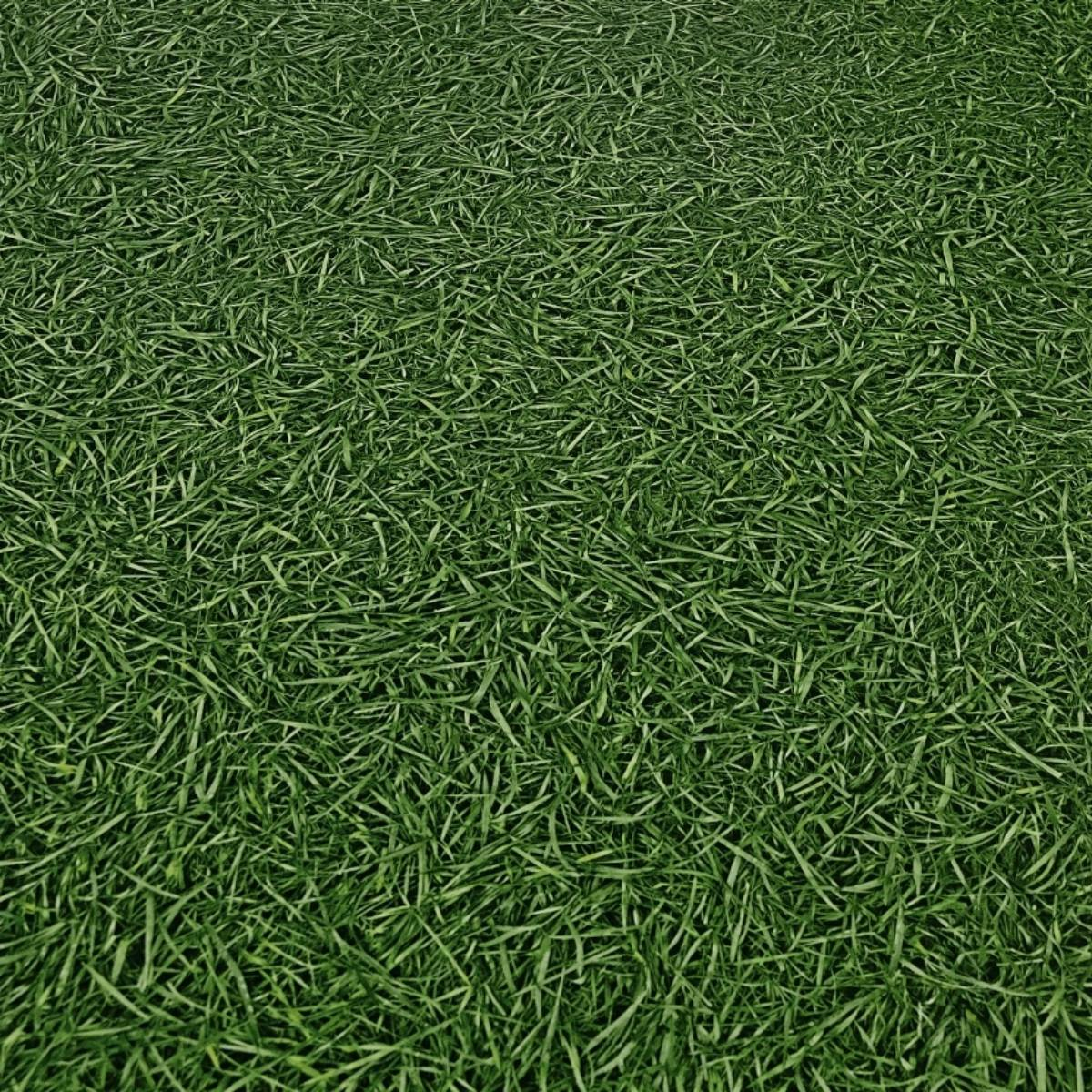 Линолеум IVC Bingo Grass 025 (4,0м) Линолеум IVC Bingo Grass 025 (4,0м)