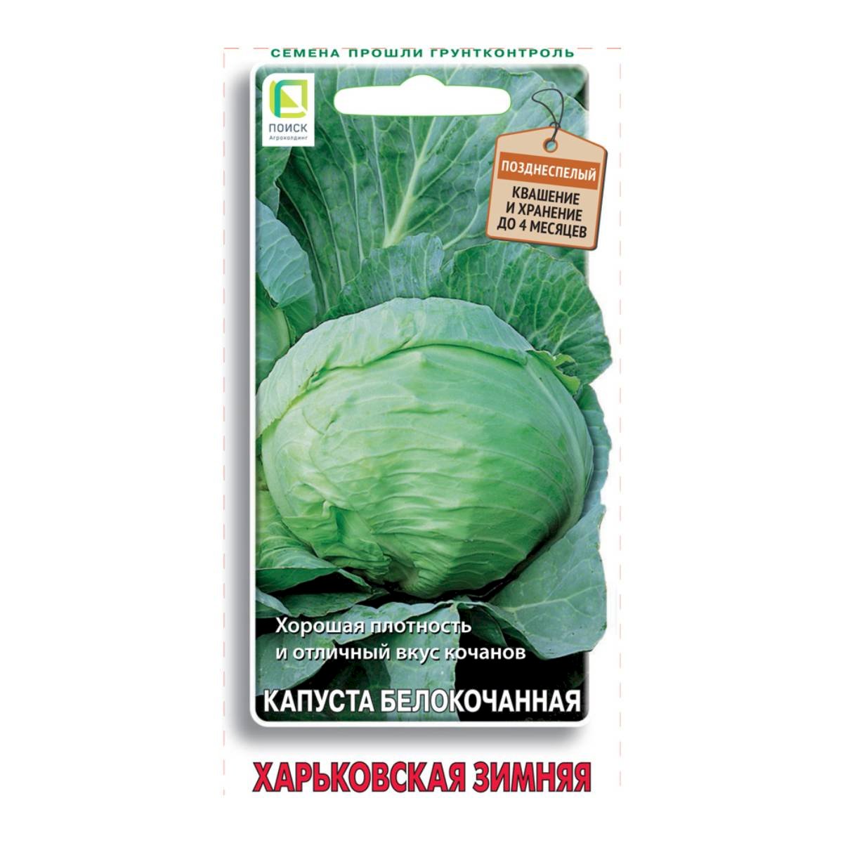 Семена Капуста белокочанная Харьковская зимняя 0,5гр Поиск