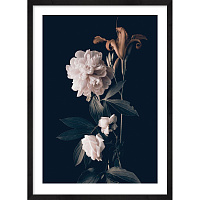 Картина Пион и лилия 50х70 см ED-28