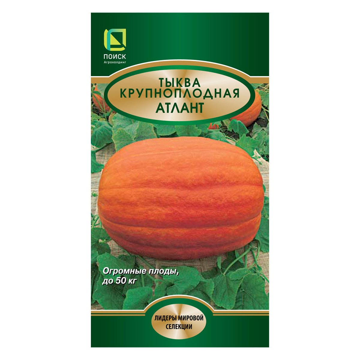 Семена Тыква крупноплодная Атлант 5шт Поиск