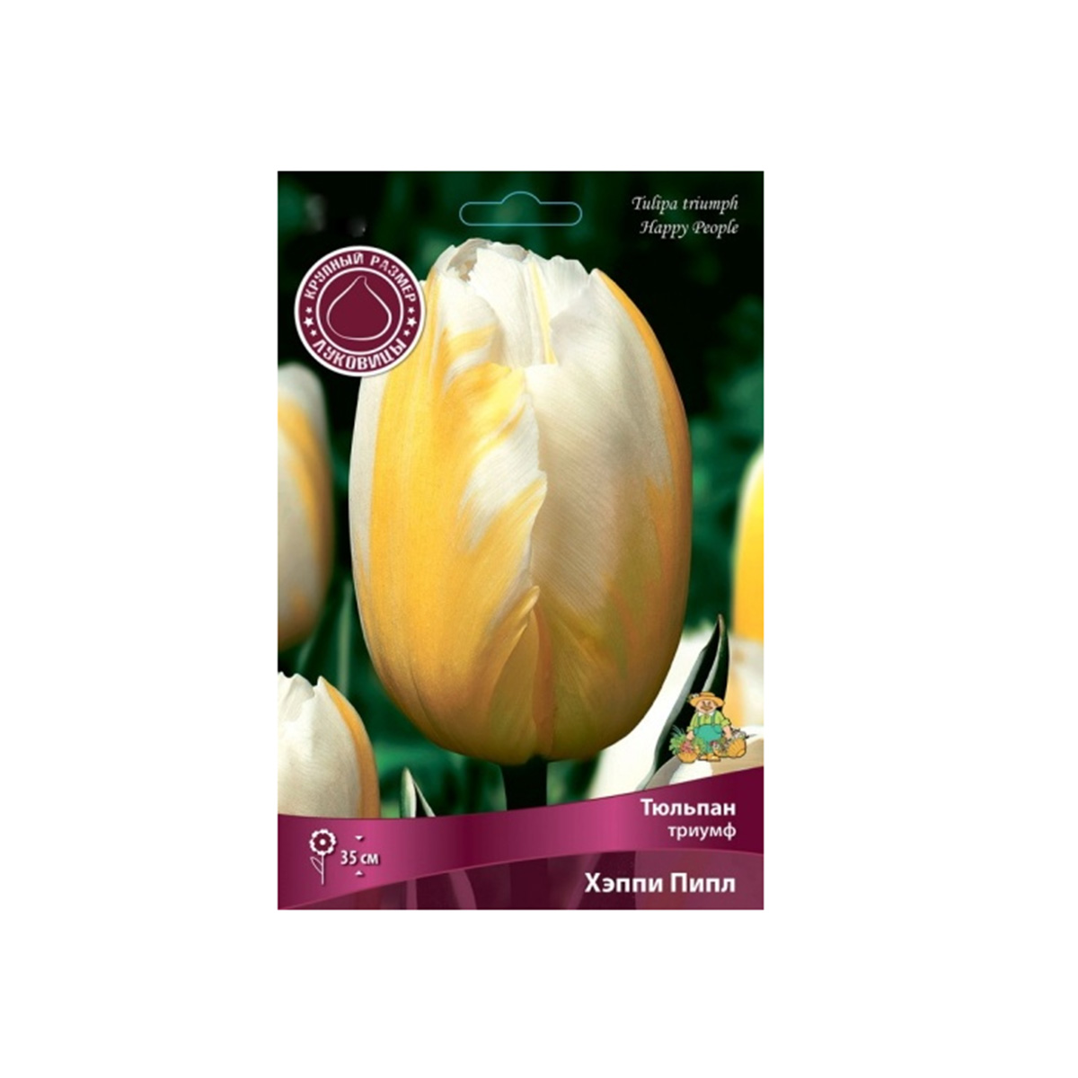 Луковицы Тюльпан триумф Хэппи Пипл 12+/К 5шт