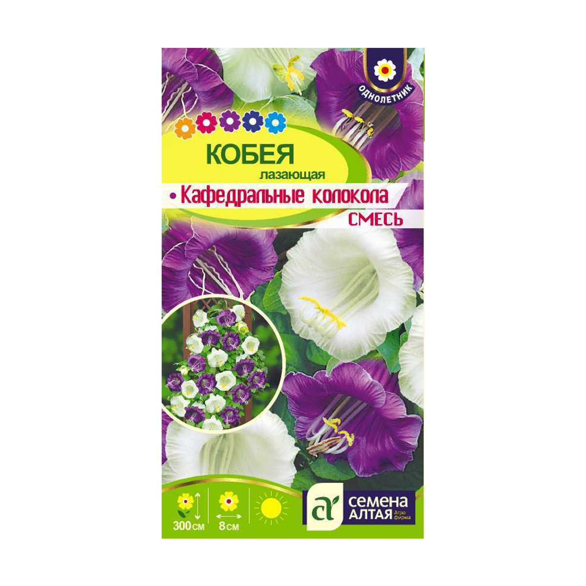 Семена Цветы Кобея Кафедральные колокола Смесь Лазающая/Сем Алт/цп 5 шт Вьющиеся растения