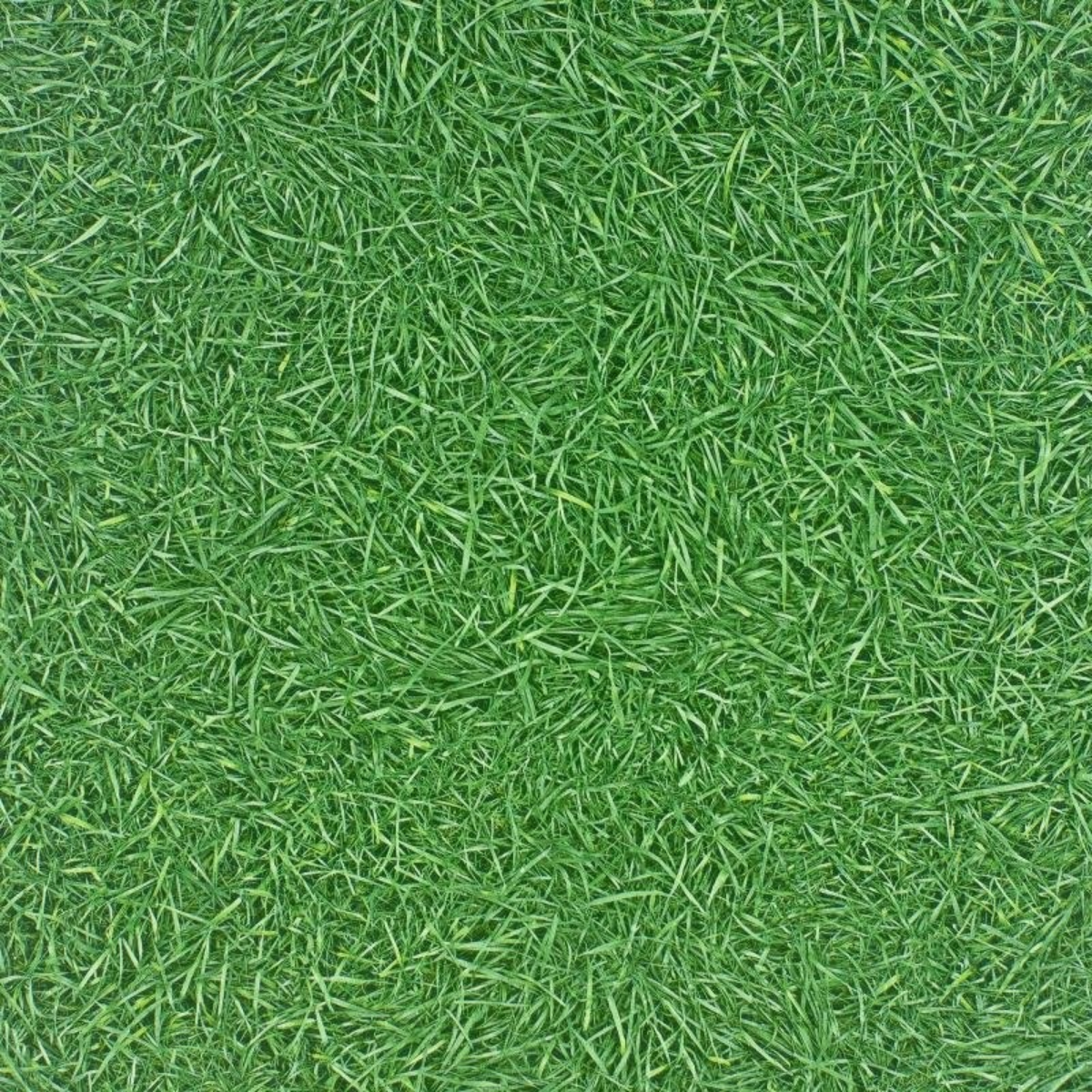 Линолеум IVC Bingo Grass 025 (3,0м) Линолеум IVC Bingo Grass 025 (3,0м)