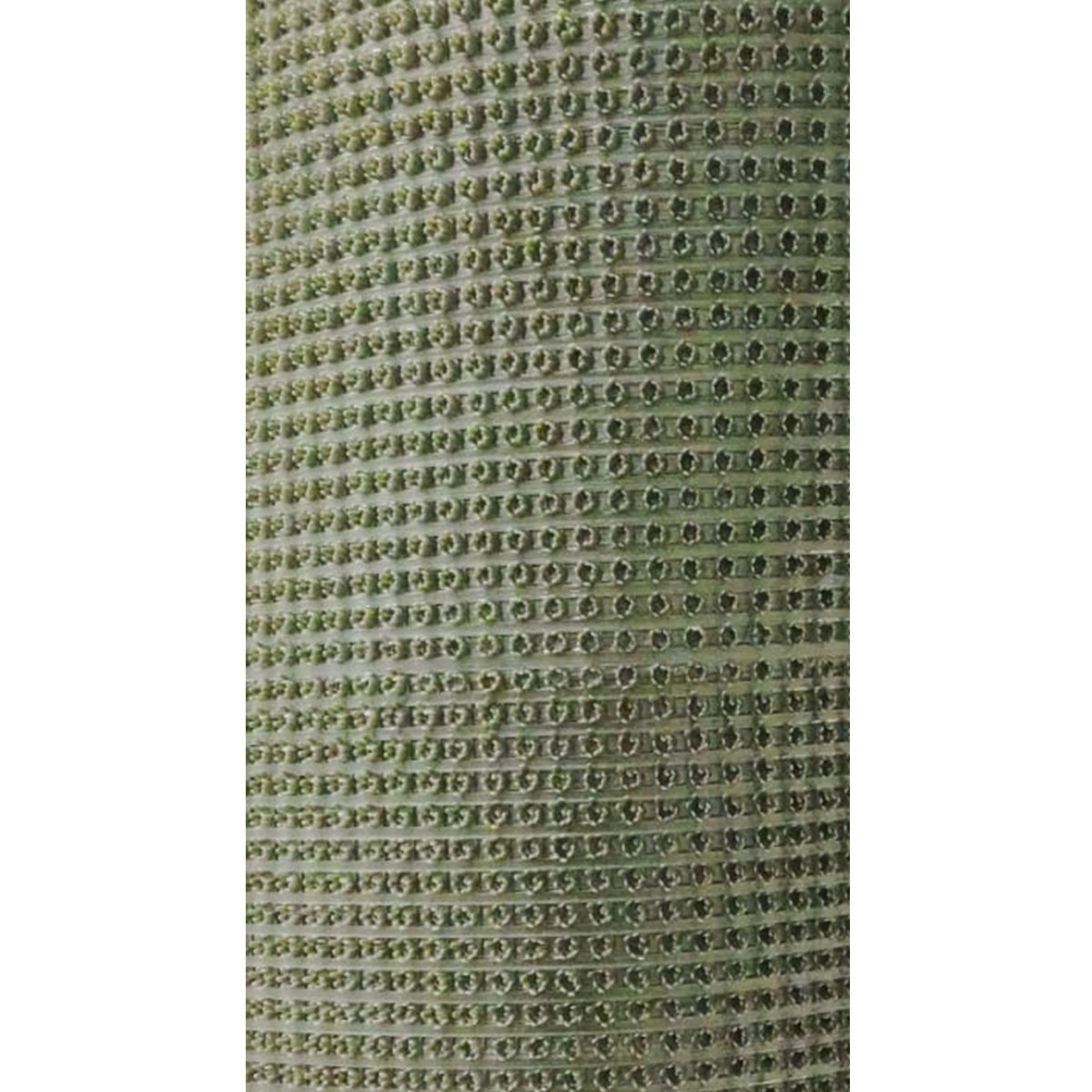 Покрытие щетинистое Baltturf 164 Моховой