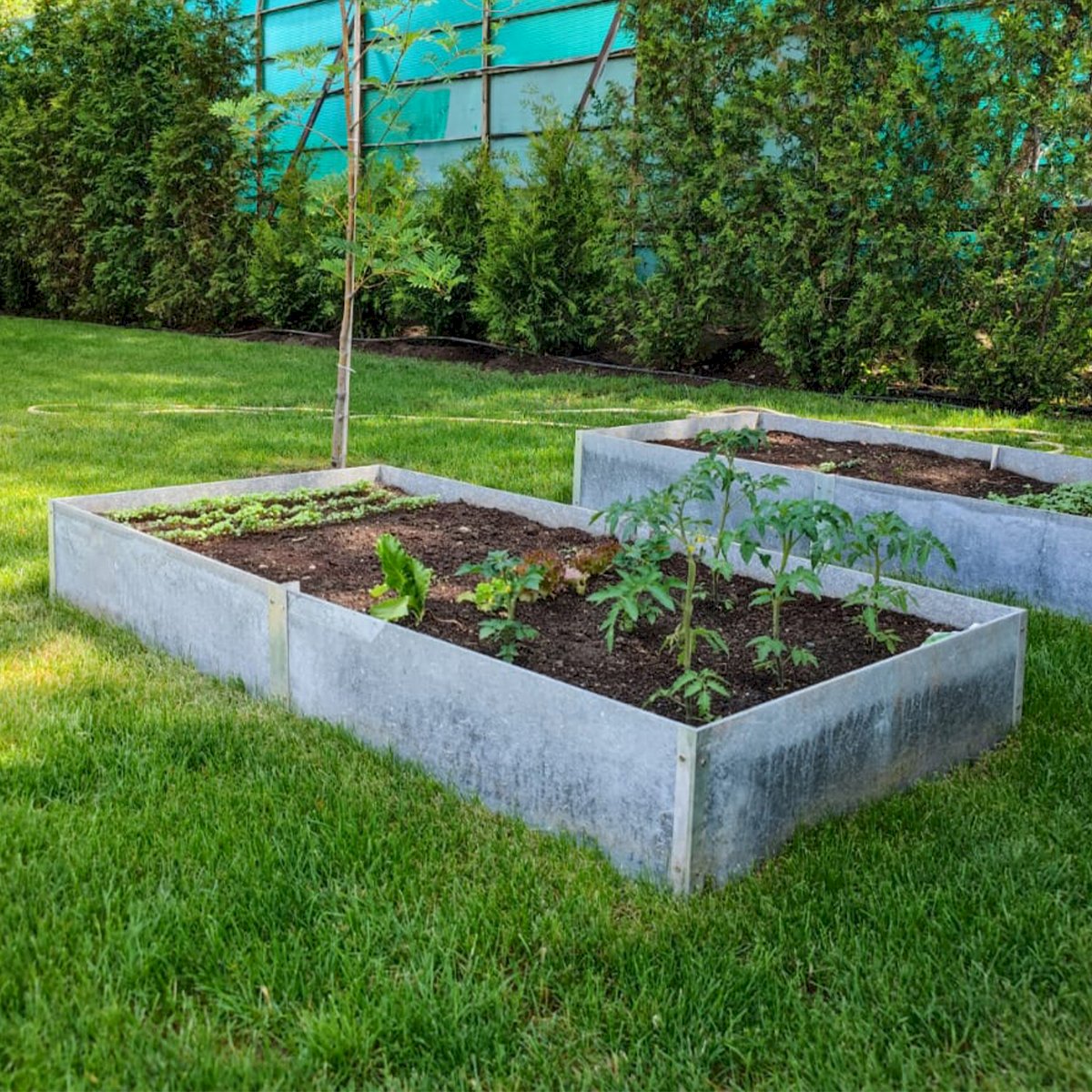 Набор бордюр для грядки ЧудоГрядка (270*90*24 см)