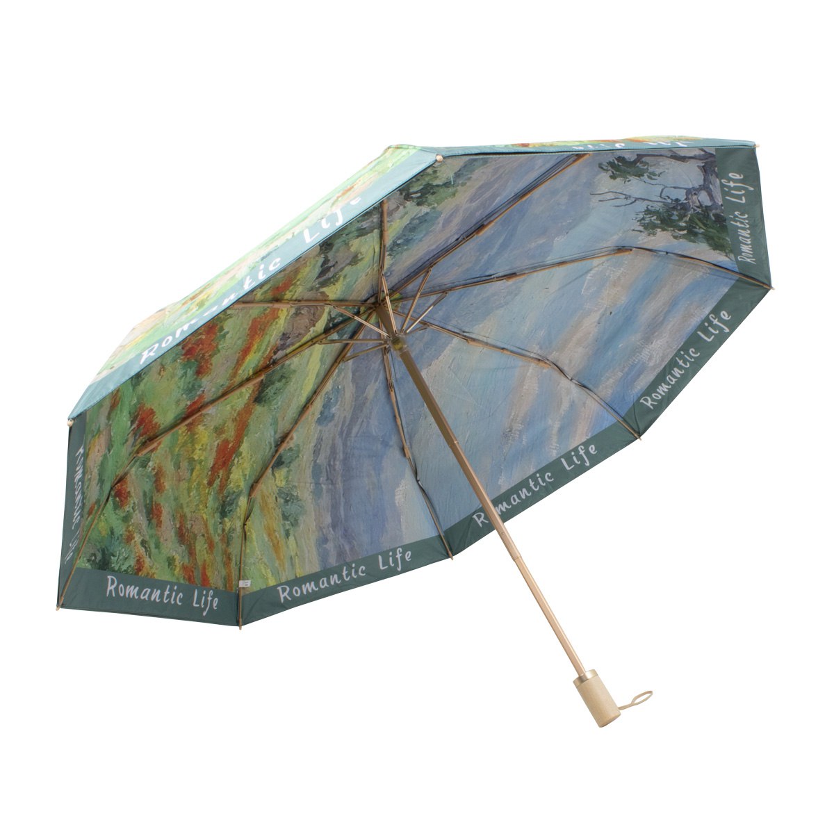 Зонт двухслойный двухсторонний механический 5 цв. в ассорт. 3423 CN