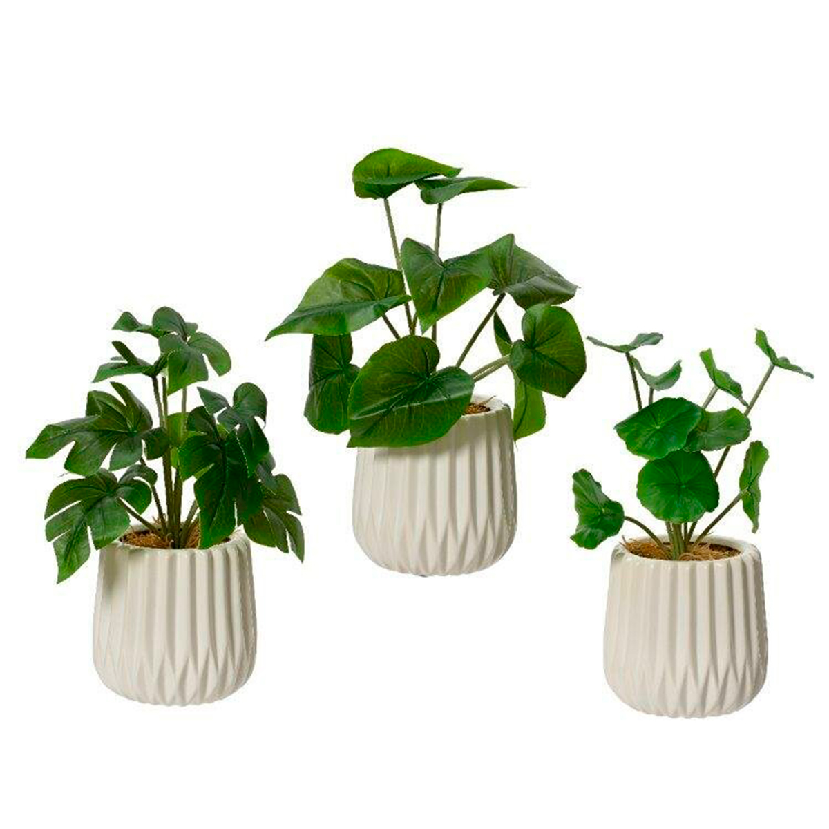 Растение искусственное в горшке scindapsus, lotus leaf, monstera 3 вида в ассортименте 808554 Kmg