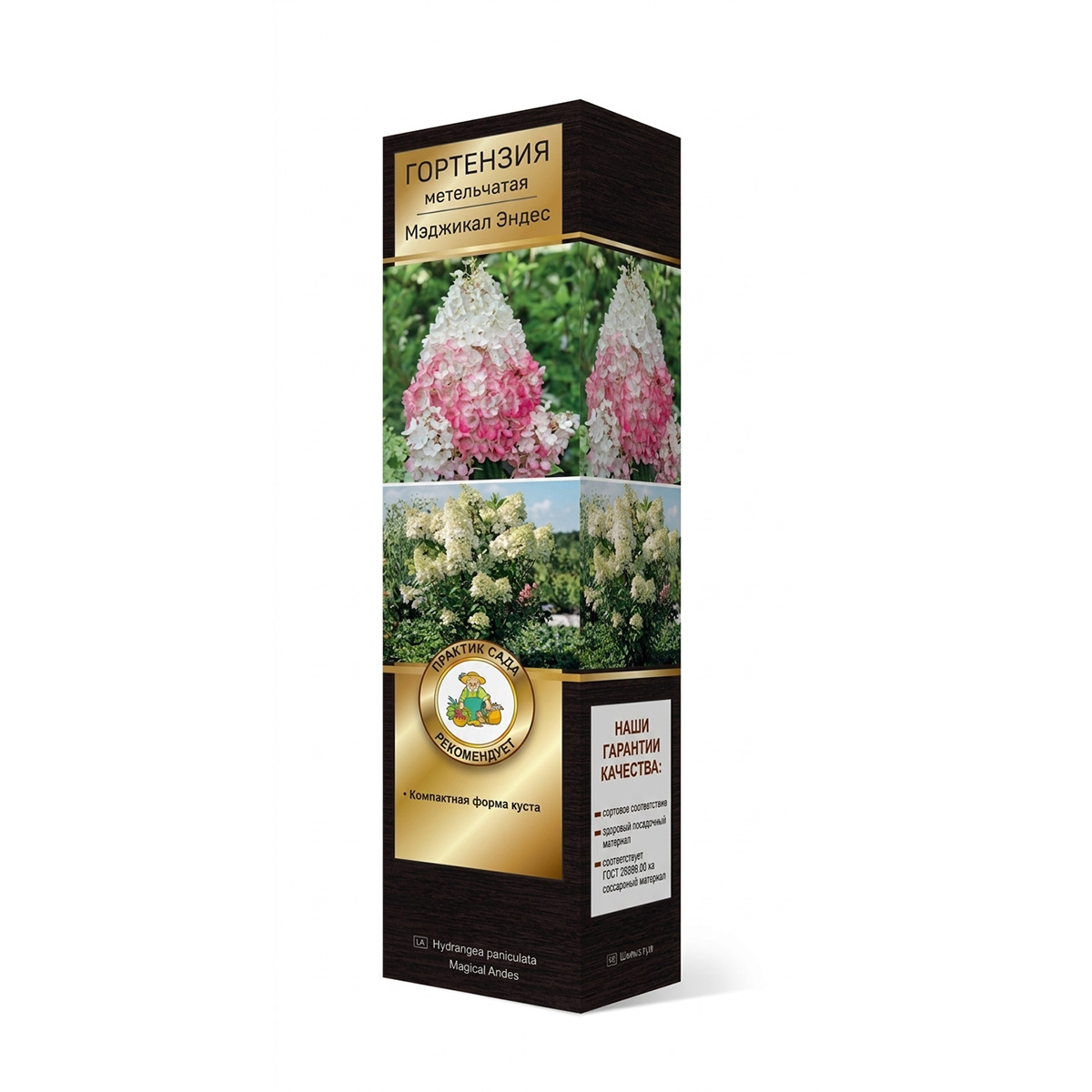 Саженцы Гортензия метельчатая Люкс Мэджикал Эндес ЦКор