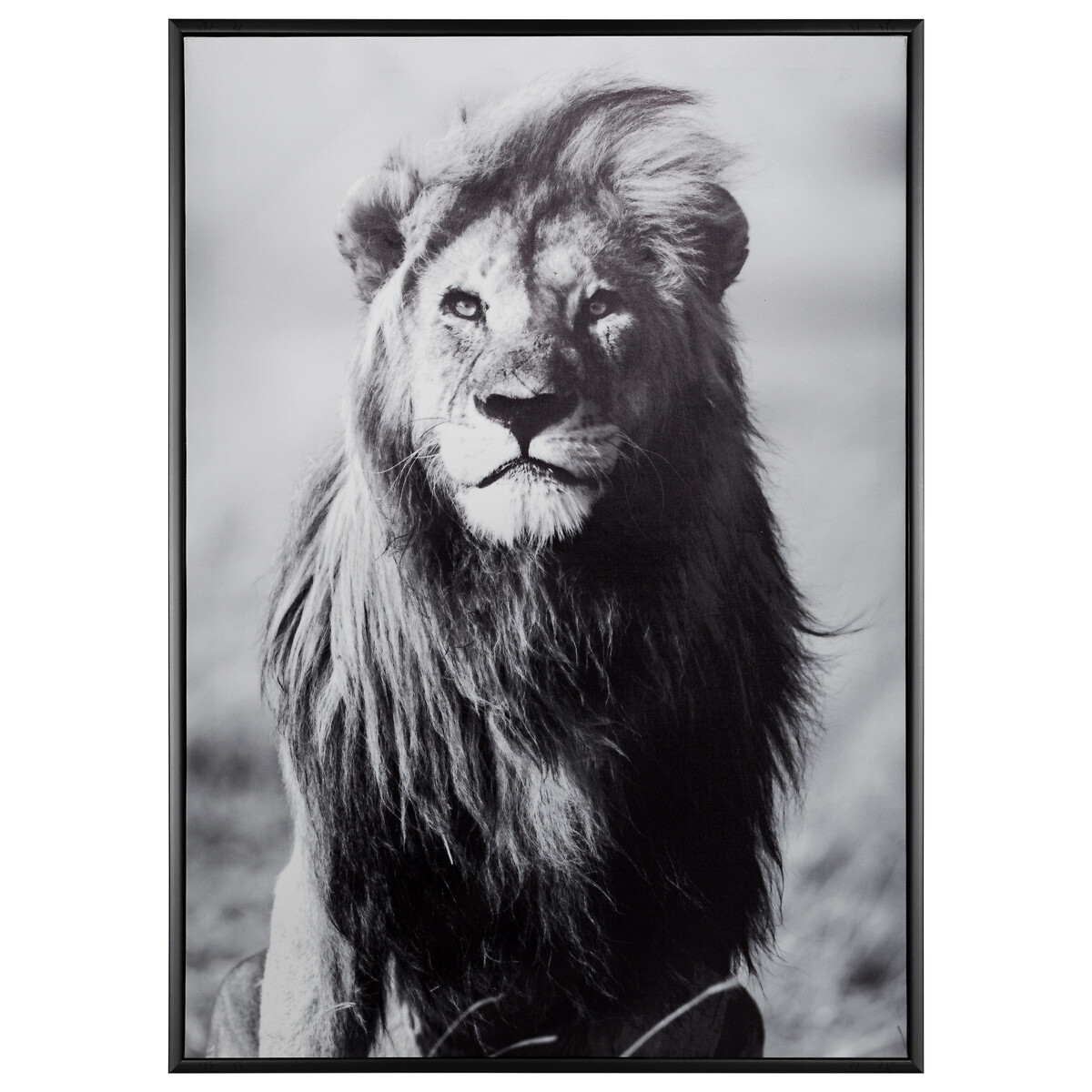 Канвас Atmosphera 50х2,5х70 см 12 видов в ассорт.166938DIS