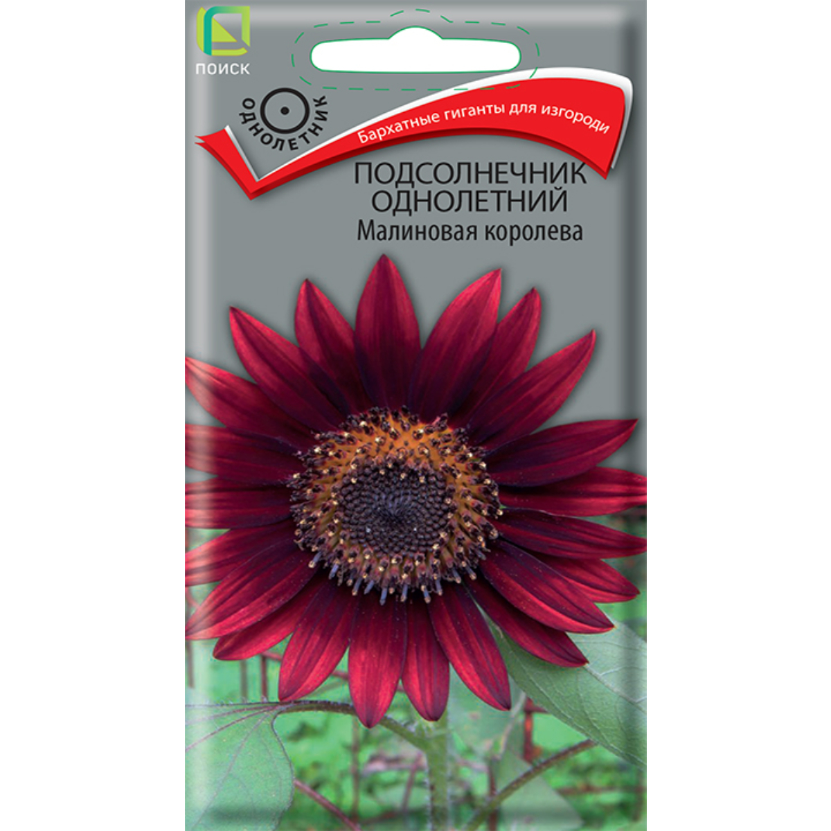 Семена Цветы Подсолнечник однолетний Малиновая королева ЦП 0,5гр Поиск