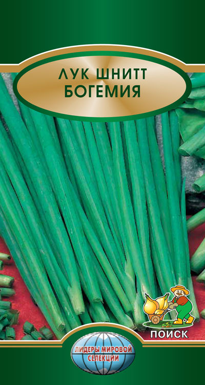 Семена Зелень Лук шнитт Богемия (ЦВ*) 0,5гр.