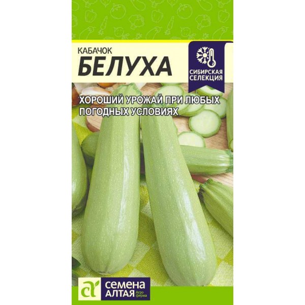 Семена Кабачок Белуха/Сем Алт/цп 2 гр. Сибирская Селекция!