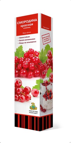 Саженцы Смородина красная перспективные сорта Мармеладница ЦКор