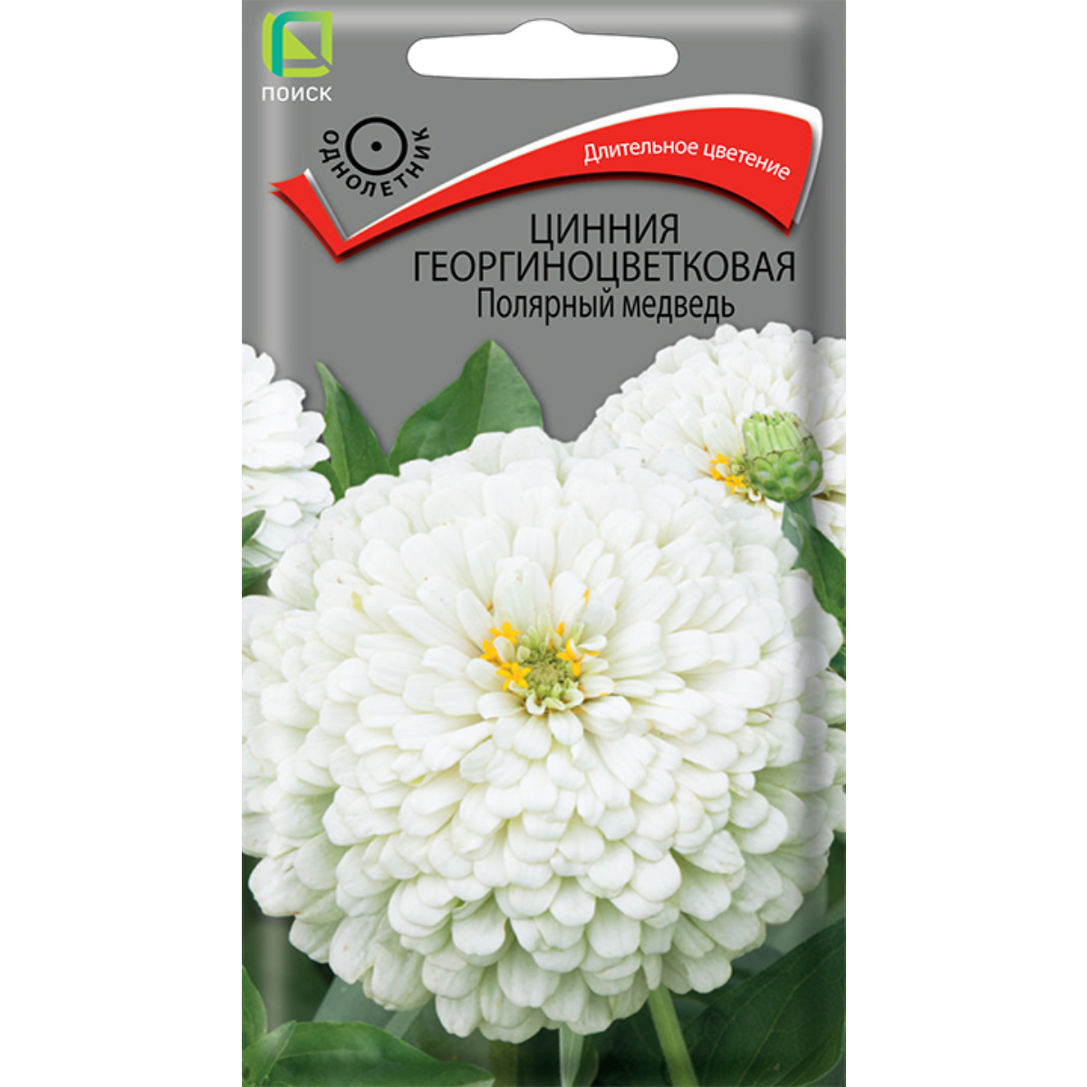 Семена Цветы Цинния георгиноцветковая Полярный медведь ЦП 0,4гр Поиск