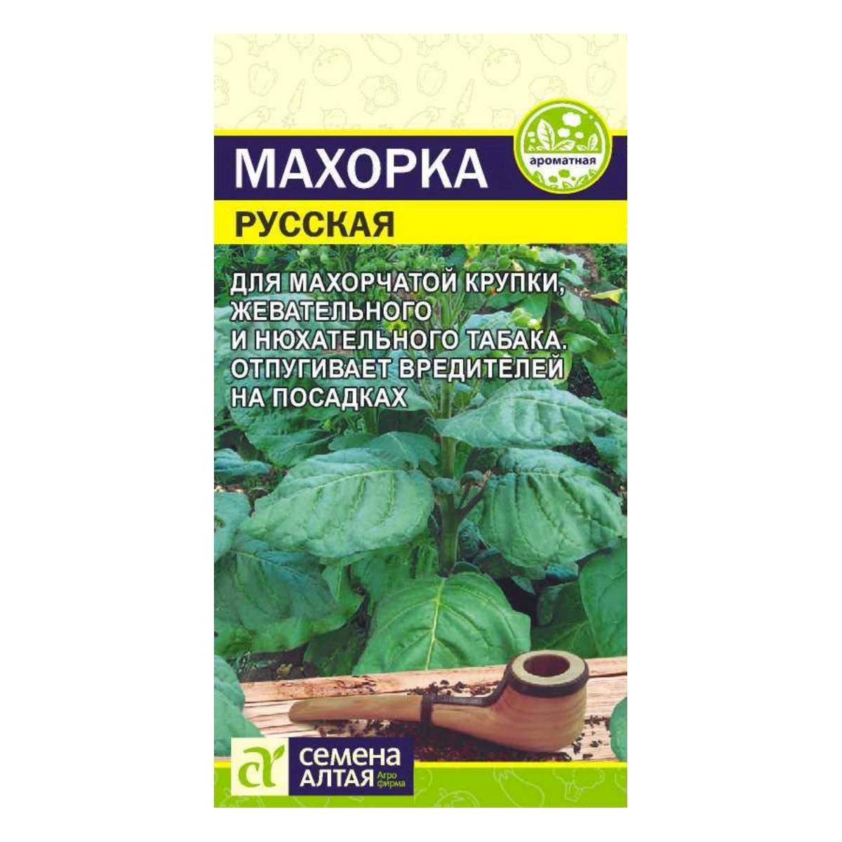 Семена Зелень Махорка Русская/Сем Алт/цп 0,01 гр. НОВИНКА!