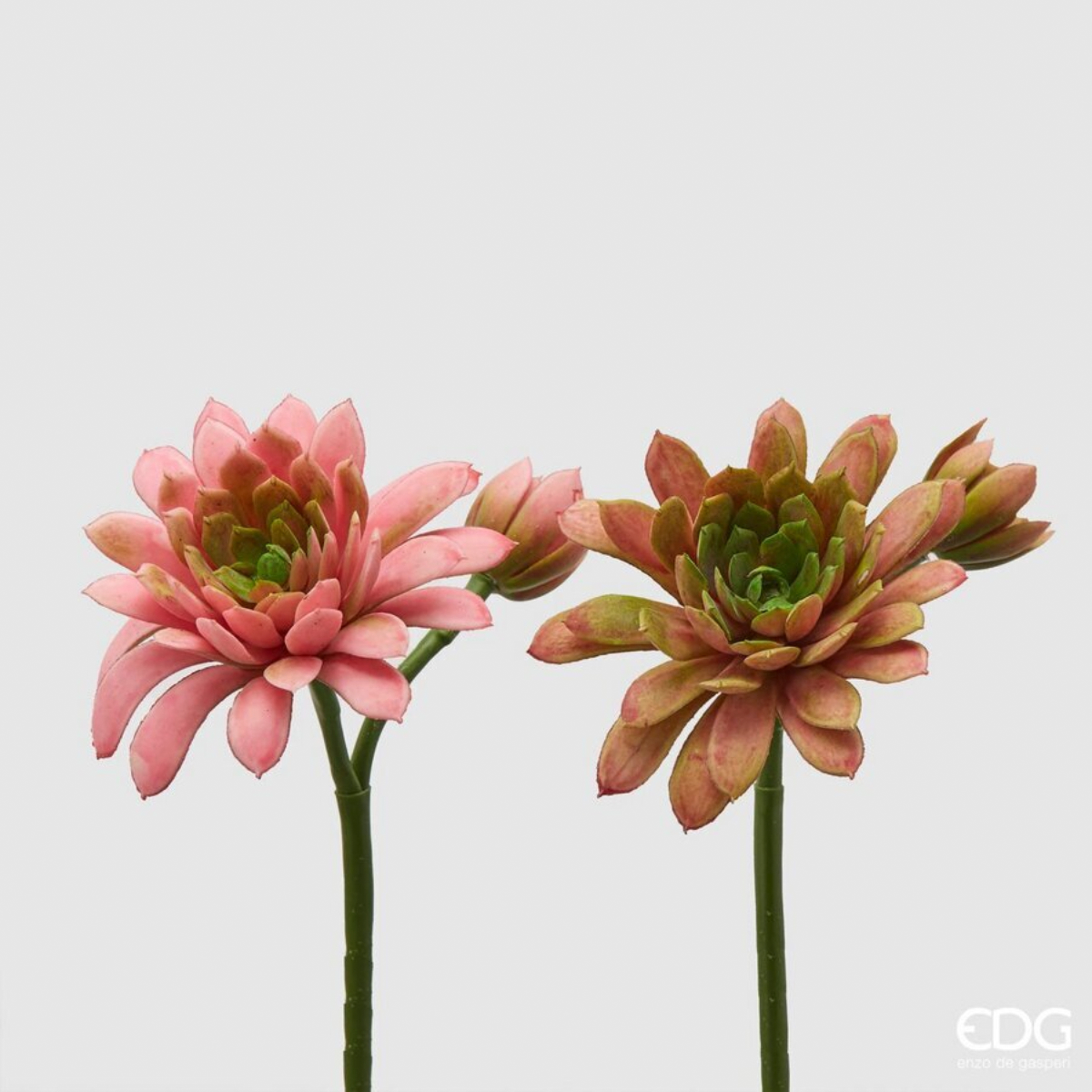 Ветка искуственная EDG Эхеверия 18 см 2 вида в ассортименте 232973,550