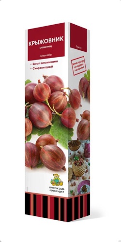 Саженцы Крыжовник Уральский розовый ЦКор