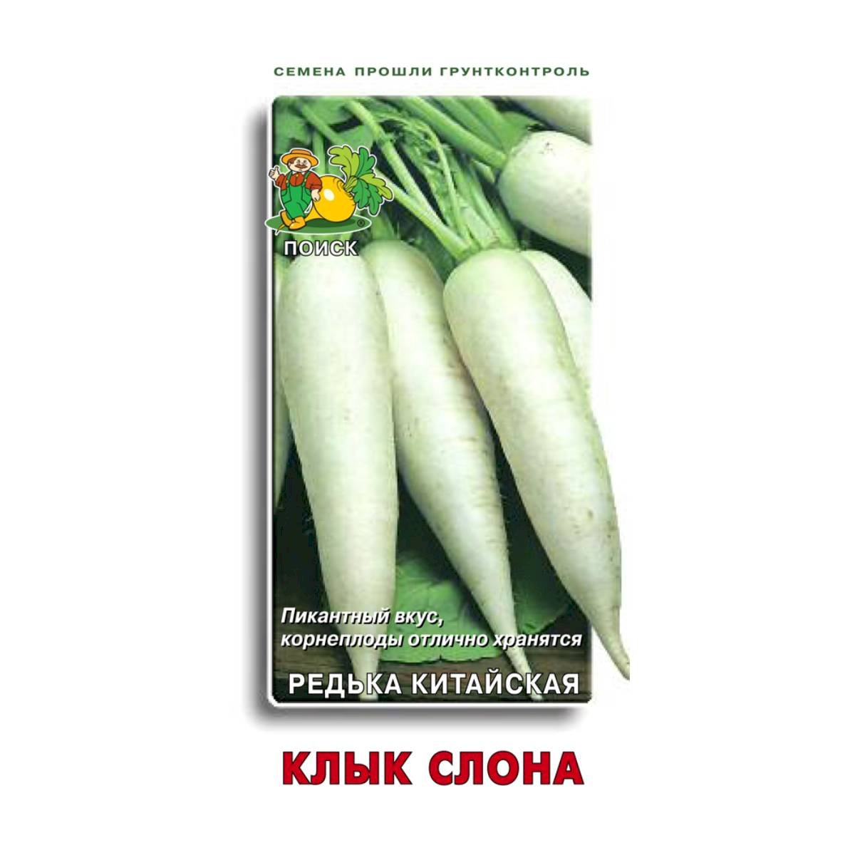 Семена Редька китайская Клык слона 2гр Поиск