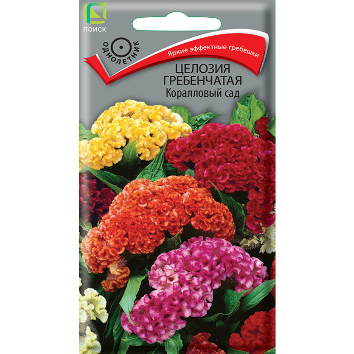 Семена Цветы Целозия гребенчатая Коралловый сад ЦП 0,1гр Поиск