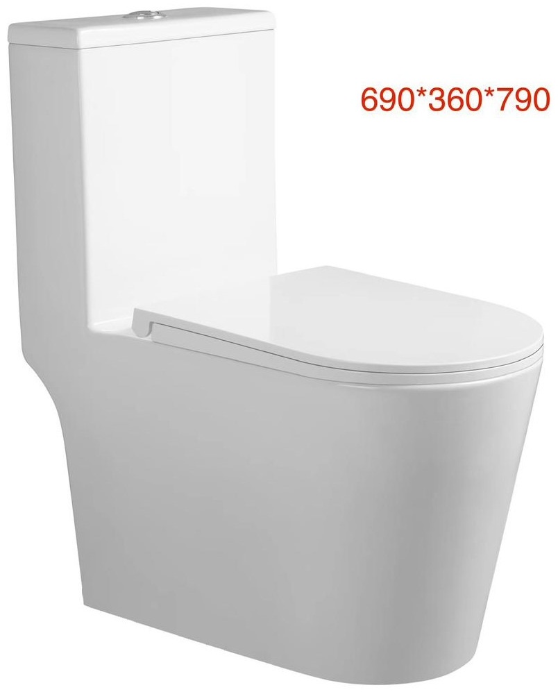 Унитаз монолитный Rein 63 Tornado белый 690х360х790