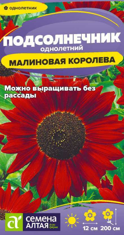 Семена Цветы Подсолнечник Малиновая Королева/Сем Алт/цп 0,3 гр. (2028 / 32532)
