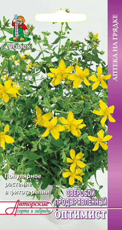 Семена Лекарственные травы Зверобой продырявленный Оптимист(А) (ЦВ) 0,1гр.
