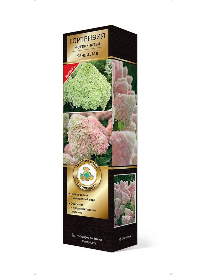 Саженцы Гортензия метельчатая Люкс Кэнди Лав ЦКор