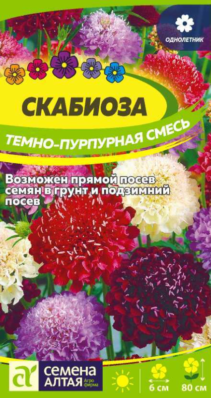 Семена Цветы Скабиоза Темно-Пурпурная смесь/Сем Алт/цп 0,2 гр.