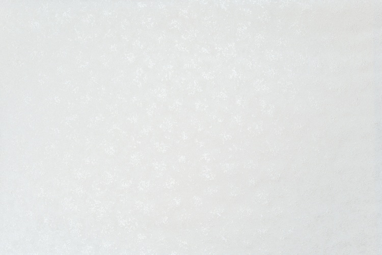 Обои 11274-01 Артекс Алтай винил горячего тиснения на флиз. Основе (10,05*1,06)(6)