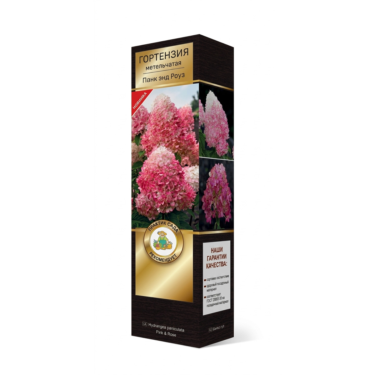 Саженцы Гортензия метельчатая Люкс Пинк энд Роуз ЦКор