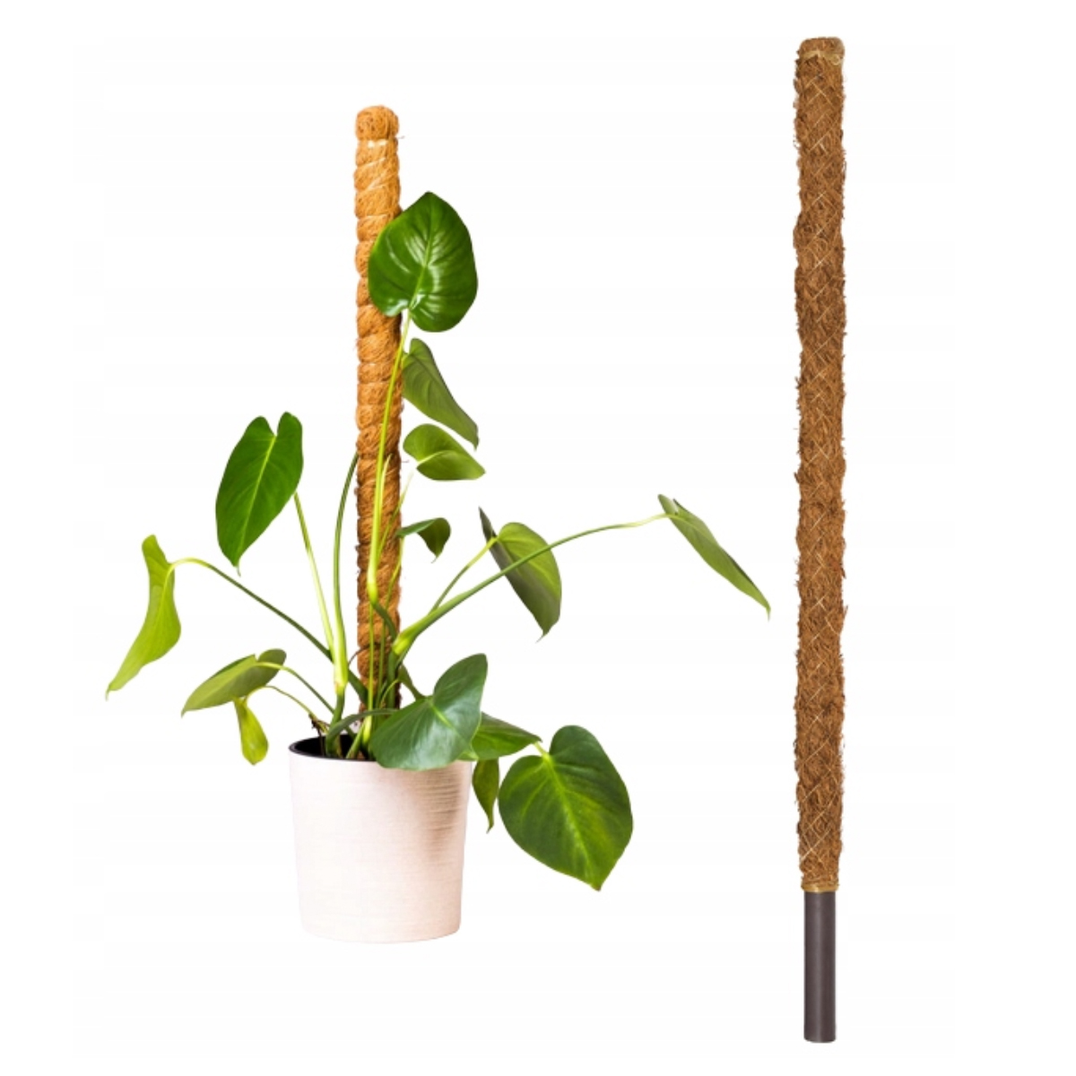 Опора для растений (кокосовая) GardenLine 120 CM X 32 MM X 25 MM