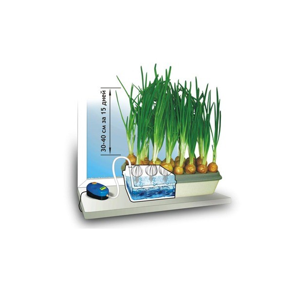 Установка домашняя гидропонная "Луковое счастье"