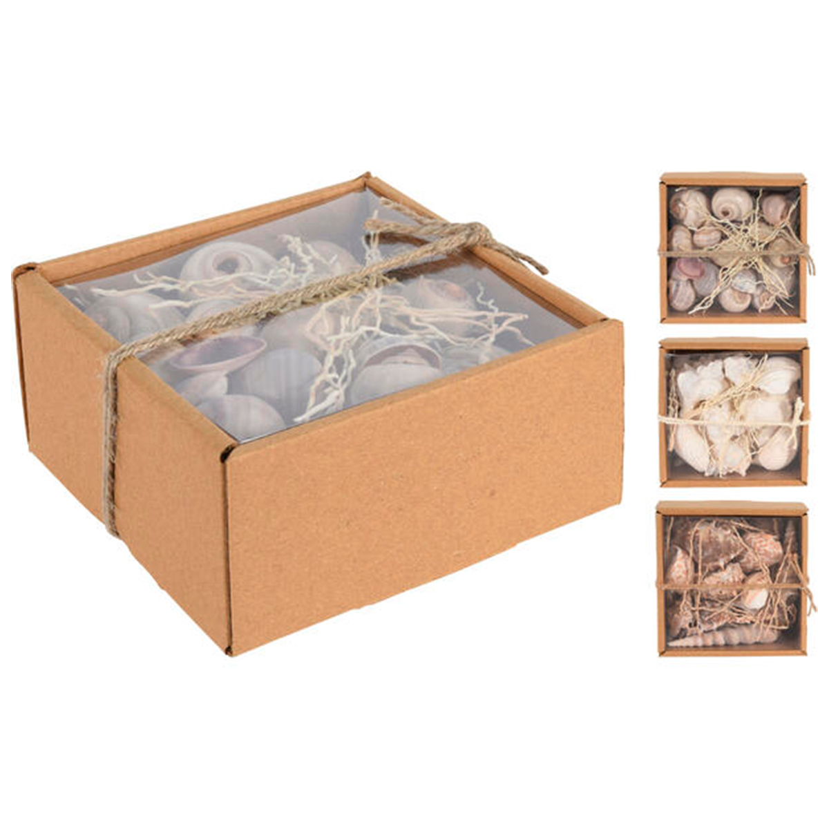 Ракушки декоротивные 12х5,5 см D22702010 К