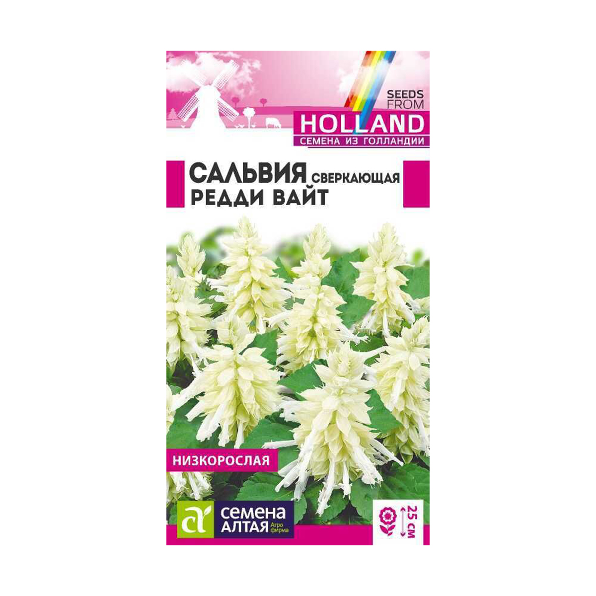 Семена Цветы Сальвия Редди Вайт сверкающая/Сем Алт/цп 5 шт. Голландия