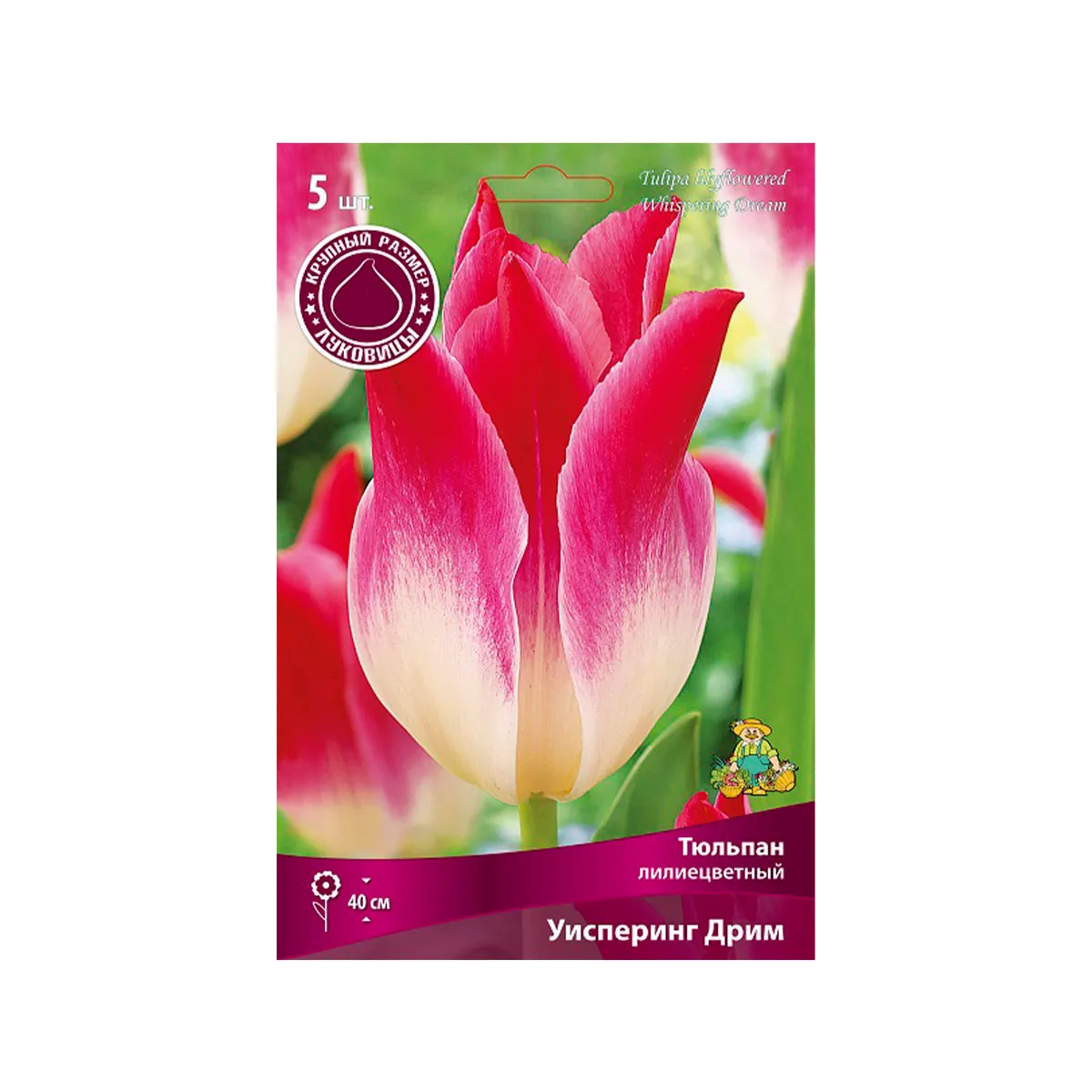 Луковицы Тюльпан лилиецветный Уисперинг Дрим, в упак. 5шт.разбор 12/+ h 40см.