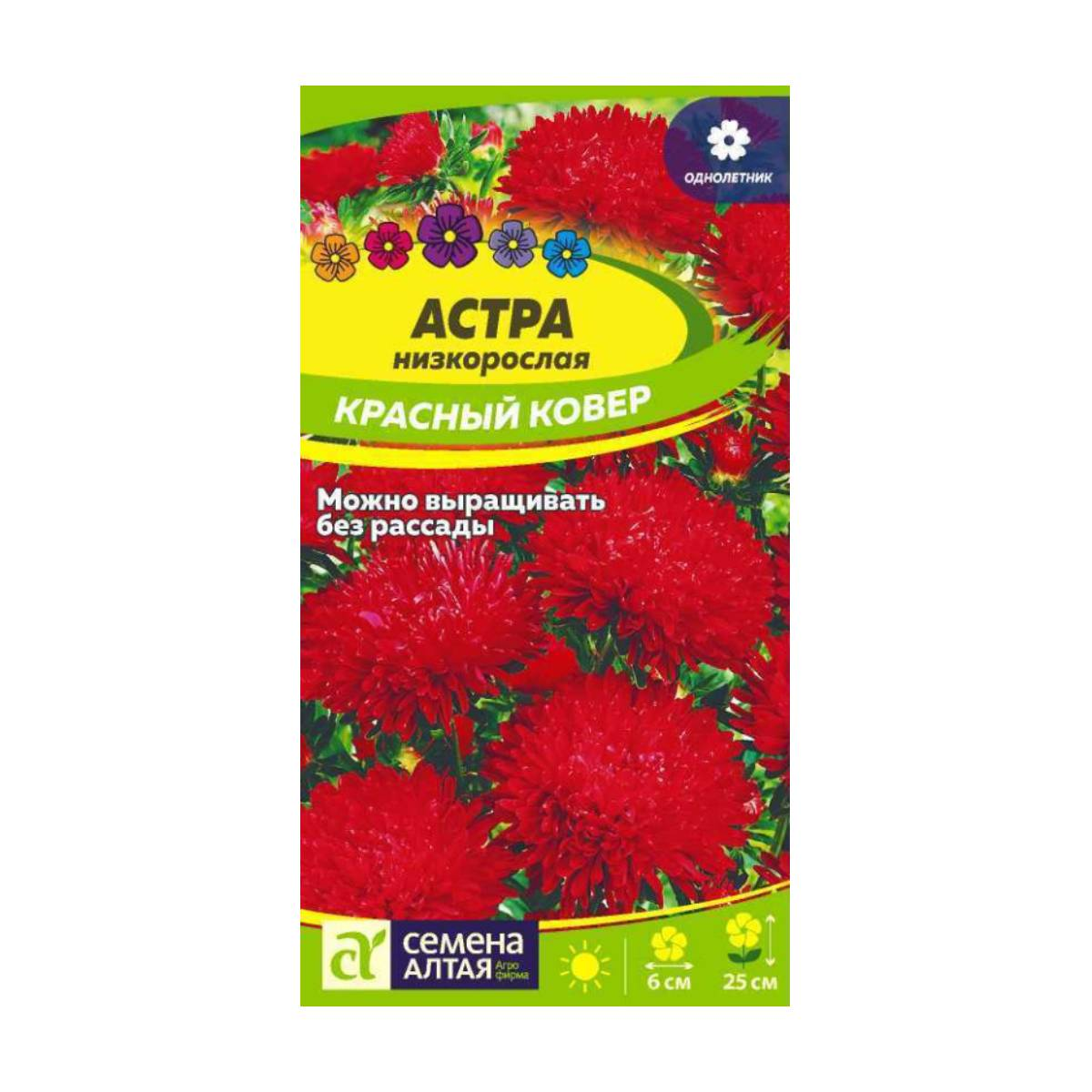 Семена Цветы Астра Красный ковер низкорослая/Сем Алт/цп 0,1 гр.