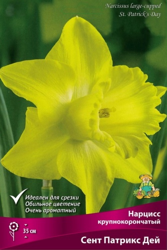 Луковицы Нарцисс Крупнокорончатый Сент Патрикс Дей 12-14/К 5шт