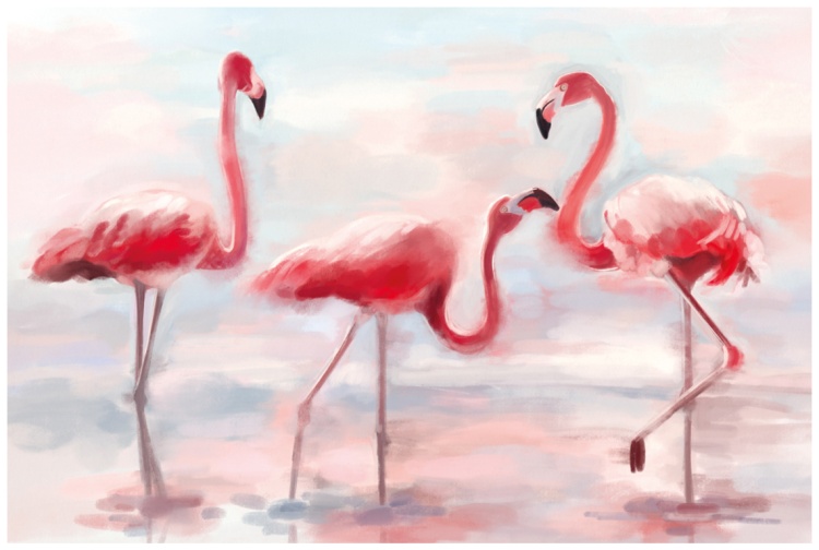 Канвас IDEA Фламинго 60х90 см CT6-81