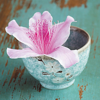 Картина на стекле Цветок азалии 30х30 см AG 30-21