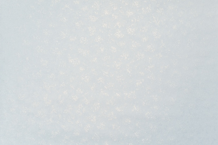 Обои 11274-05 Артекс Алтай винил горячего тиснения на флиз. Основе (10,05*1,06)(6)