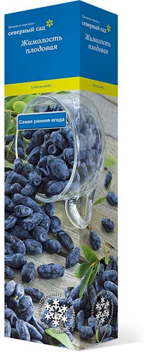 Саженцы Жимолость съедобная Бакчарский великан/ЦКор