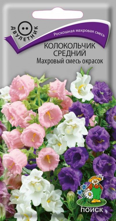 Семена Цветы Колокольчик средний Махровый смесь окрасок (ЦВ) ("2) 0,1гр.