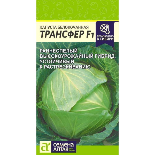 Семена Капуста Трансфер F1/Сем Алт/цп 0,1 гр.