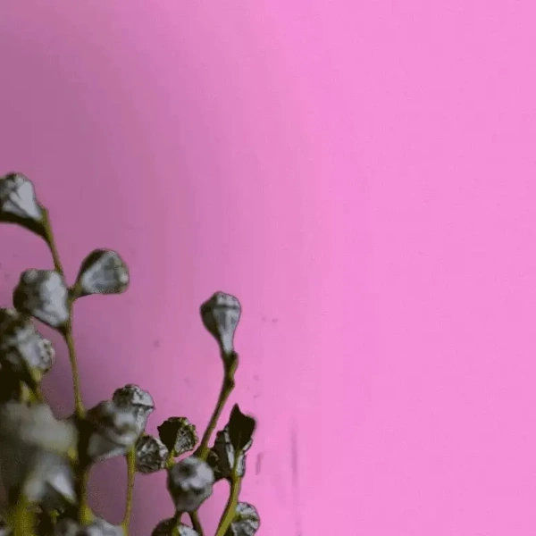 Обои Ateliero 88291-04 (10,05*1,06)(6) винил горячего тиснения на флизелине