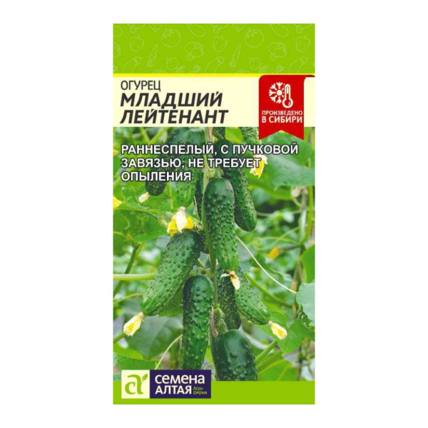 Семена Огурец Младший Лейтенант F1/Сем Алт/цп 5 шт.