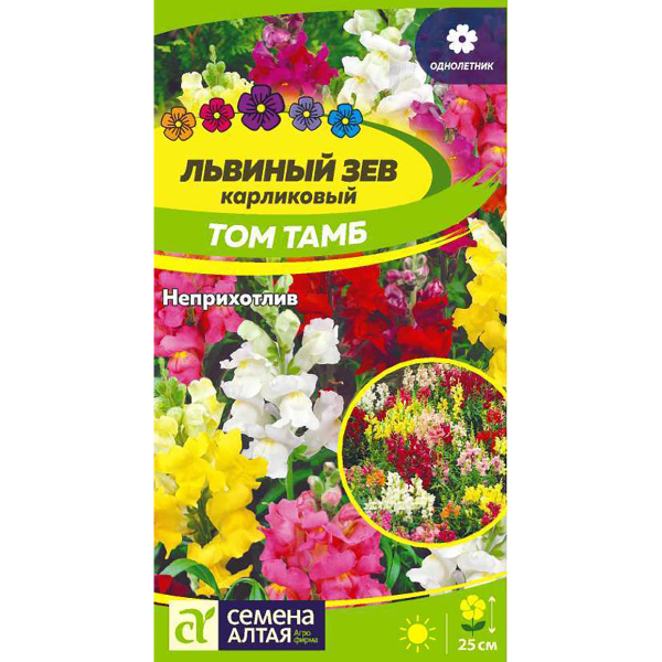 Семена Цветы Львиный зев Том Тамб Карликовый/Сем Алт/цп 0,1гр (2026 / 21961)