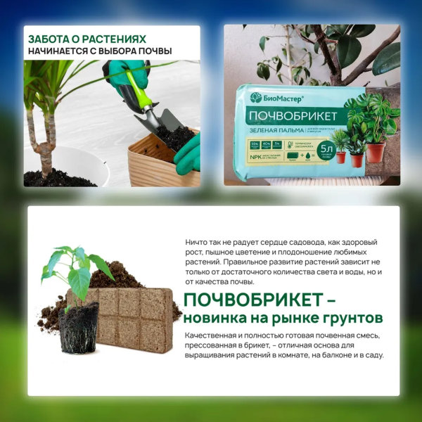 Почвобрикет БиоМастер Зеленая Пальма, 5л