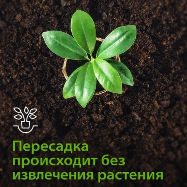Горшочек для рассады, 60х60 мм, торфяной, 5 шт.