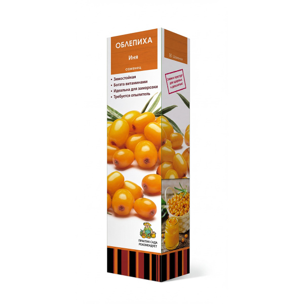 Саженцы Облепиха Иня ЦКор