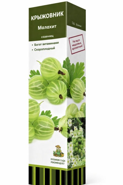 Саженцы Крыжовник Малахит ЦКор